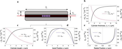 Source geometry optimization for generating a 2ν exchange potential. (a) Cylinder with a bore hole, definition of variables, proposed location of probes (purple) along centerline (red) of a cylindrical source. (b) Ratio between the 2ν exchange and the gravitational potential as function of the cylinder thickness and (c) length. In both cases, we show (solid lines, right y axis) the dependency of 2ν potential compared to the ratio of the potential with gravity from the source (dashed lines, left y axis). Note that the 2ν potential saturates around 4 μm. We have optimized the potentials along the center line of a cylinder with a thickness of 4 μm. Note the different scales of the potentials. (d) As a function of the position along the axis, we show the 2ν potential (solid line) is more flat compared to gravity (dashed line) and e: as a function of the radial position in the center of the cylinder. Note the gravitational instability at the center.