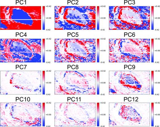 Fig. 4. Scores of the first twelve principal components for the fs-LDI-MS data shown in Fig. 2(b).