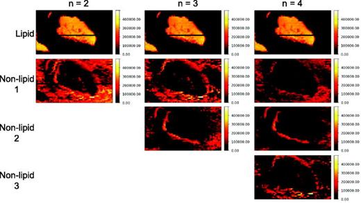 Fig. 5. Lipid component (top row) and non-lipid components extracted by MAP analysis using two, three, and four components (n) from the fs-LDI-MS data. For n = 3, the third component (non-lipid 2) is attributed to both the sample preparation and differences in the topography of the sample. For n = 4, the third component (non-lipid 2) is attributed to the sample preparation while the fourth component (non-lipid 3) arises due to sample topography. The ion intensities are shown on a heat scale.