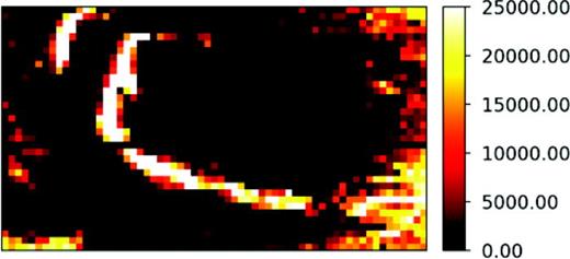 Fig. 7. Ion image centered at m/z 7 from the pancreatic tissue slice. Analysis area: (630 × 360) μm2 and the ion intensities are shown using a heat scale.