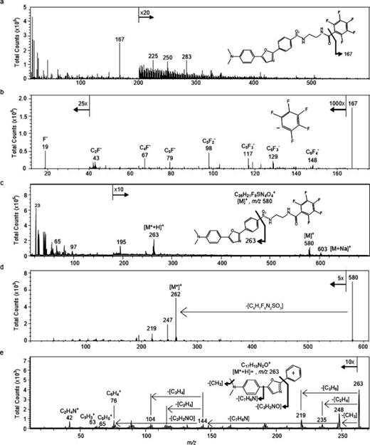 Fig. 2. Ionization and fragmentation of ER-Tracker standard were performed to identify characteristic fragments that might be used to image its distribution in cells using SIMS. (a) Full negative ion spectrum of ER-Tracker standard with the structure of the intact molecule (inset). (b) Product ion spectrum of the precursor ion m/z 167 contained fluoride ions at m/z 19 and several less intense fluorocarbon fragment ions, which confirms that the m/z 167 precursor ion was the pentafluorophenyl anion. (c) Full positive ion spectrum of the ER-Tracker standard. The inset shows the structure of the intact ER-Tracker molecule, where the fragment that corresponds to the fragment ion with m/z 263 is indicated. (d) Product ion spectrum of the molecular ion (C26H21F5N4O4S) at m/z 580. (e) The peaks in the product ion spectrum of the precursor ion m/z 263 result from the loss of CO, fragments of the N,N-dimethyl moiety, N,N-dimethylaniline, and aromatic ring fragments. This fragmentation pattern confirms that the precursor ion at m/z 263 was the Dapoxyl dye cation. The inset illustrates its fragmentation.