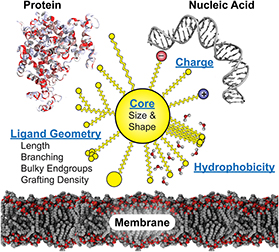 Progress in ligand design for monolayer-protected nanoparticles for ...
