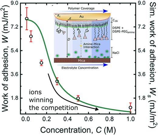 Work of adhesion obtained experimentally from surface forces apparatus (SFA) measurements at a fixed amine concentration isolated on the surface and varying NaCl electrolyte concentration compared with simulated values from a competing Langmuir isotherm model. Adapted from Bilotto et al., ACS Phys. Chem. Au 1, 45 (2021). Copyright 2021 Author(s), licensed under a Creative Commons Attribution license CC-BY.