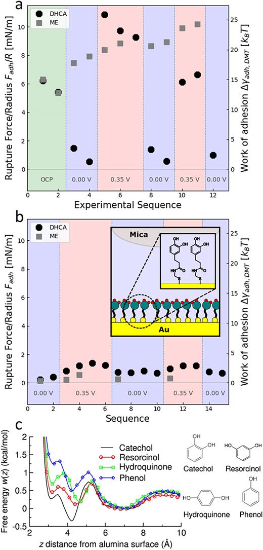 Adhesion of a self-assembled monolayer on gold with catechol (DHCA) and with hydroxyl groups (ME) against a mica surface in the EC-SFA under varying potential control as marked, in (a) milliQ water and (b) in 10 mM sodium perchlorate. Inset is a schematic of the DHCA decorated system (Ref. 97). Adapted from Imre, “Electrochemically switchable adhesion of a catechol functionalized monolayer,” M.Sc. thesis, Vienna University of Technology, reposiTUm. https://doi.org/10.34726/hss.2021.85300 (2021). (c) MD simulations have been used to find the free energies of various catechol derivatives at a hydroxylated alumina surface (Ref. 12). MD simulation figure is adapted with permission from Yeh et al., J. Phys. Chem. C 119, 7721 (2015). Copyright 2015, American Chemical Society.