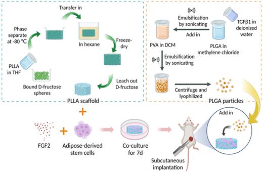 Schematic illustration of the preparation for nanofibrous PLLA scaffolds and PLGA particles, and the procedure for in vivo experiment. The figure was created by Biorender.