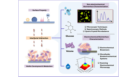 Analytical methods to study the complex dynamics of biofilm-biomaterial ...