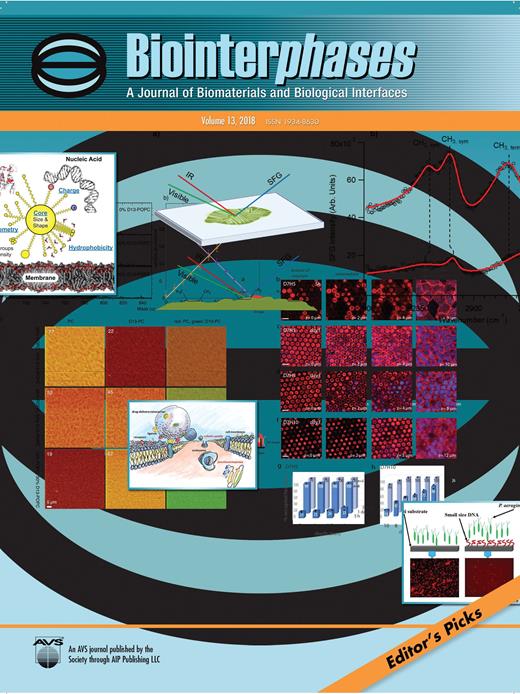 Biointerphases Cover Image for Volume 13, Issue 3