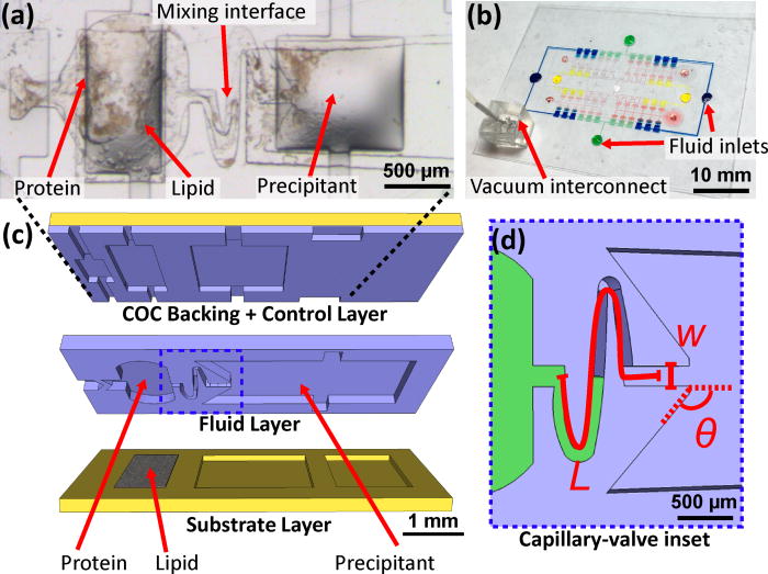 X-ray transparent microfluidic chips for high-throughput screening and ...