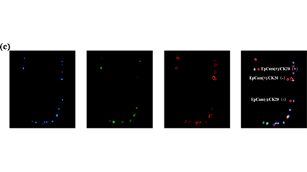 A simple microdevice for single cell capture, array, release, and fast ...