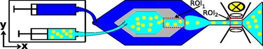 FIG. 1. Sketch of the experimental setup consisting of two syringe pumps, providing a sample and a sheath flow. Cells are recorded in two regions of interest (ROI) inside the microfluidic chip. In ROI1 (“Reservoir”) cells move slowly and are subjected to nearly zero shear stress. ROI2 (“Channel”) is located within a narrow channel, where cells are deformed by hydrodynamic forces.