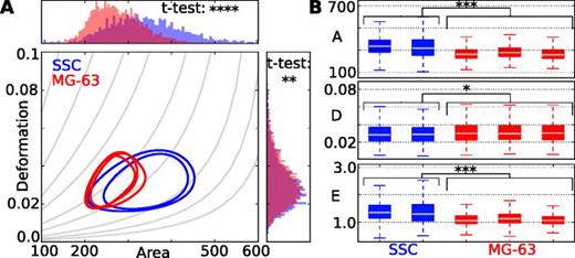 FIG. 6. (a) Contour lines (at 50% of the maximum density) represent the distributions of two replicates of SSCs and a triplicate of MG-63 cells in area and deformation. The histograms show the distributions, after the data of replicates were merged. P-values are obtained from t-tests. (b) LMM analysis results in p-values for area (p=2.15×10−4), deformation (p=1.25×10−2), and elastic modulus (p=2.10×10−4). The size of the boxes indicates the interquartile range IQR which spans from the first quartile Q1 to the thirst quartile Q3. The whiskers indicate the range from Q1−1.5×IQR to Q3+1.5×IQR and the line is the median. Measurements have been carried out at a flowrate of 0.16 μl/s in a 30 μm × 30 μm wide channel geometry. (*p &lt; 0.05, **p &lt; 0.01, and ***p &lt; 0.001).