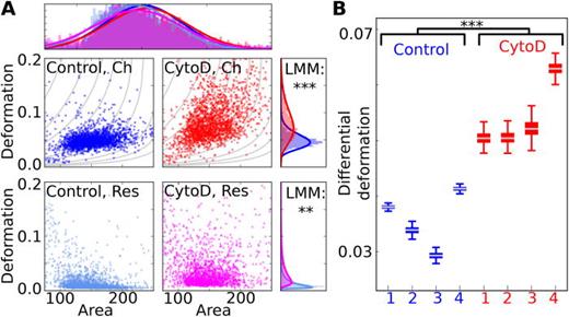 FIG. 7. (a) Scatterplots of area (μm2) and deformation show HL-60 cells, measured in the channel (top left, blue) and reservoir (lower left, light blue) and Cytochalasin D treated HL-60 cells in the channel (top right, red) and reservoir (lower right, magenta). The horizontal histogram shows that area distributions overlap. The upper vertical histogram shows that there is a difference in deformation in the channel and a LMM, applied to the dataset of four replicates results in a p value of p=1.53×10−4. Also, the lower vertical histogram shows a significant difference in deformation of p=1.58×10−3 (LMM) for experiments carried out in the reservoir. (b) Boxplot showing DD of four replicates of HL-60 (blue) and four replicates of CytoD treated HL-60 samples (red). LMM yields a statistical significant difference between the DD distributions (p=5.01×10−4). Measurements have been carried out at a flowrate of 0.04 μl/s and a 20 μm × 20 μm wide channel geometry. (**p &lt; 0.01, ***p &lt; 0.001).