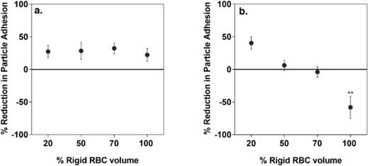 Vascular-targeted particle binding efficacy in the presence of rigid ...