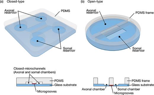 FIG. 1. Overall and cross-sectional schematics of a conventional closed-type device (a) and the proposed open-type device (b). In both devices, the somal reservoir with cell bodies and the axonal reservoir with extending axons are separated by microgrooves.
