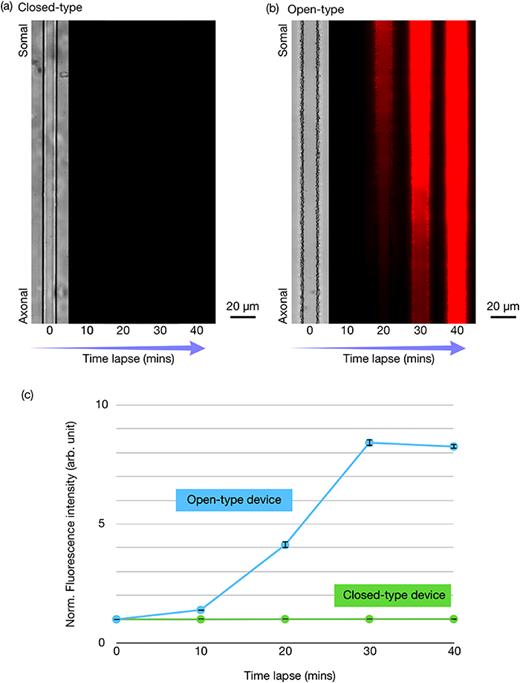 FIG. 3. Dextran molecule penetration into the end of the microgrooves immediately after the dextran was introduced into the reservoir for the conventional closed-type device (a) and the proposed open-type device (b). Fluorescence intensity in the microgrooves as measured in intervals of 10 min (c).