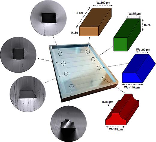 FIG. 2. Schematic of the channels with corresponding dimensions and cross-sectional optical micrograph of the PDMS microfluidic chips.