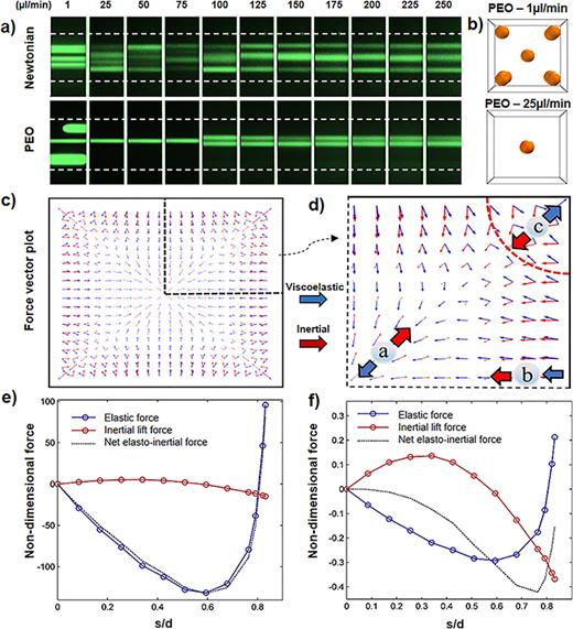 FIG. 3. The mechanism of elasto-inertial focusing in the square channel. (a) Experimental results for focusing positions of 10 μm particles. (b) Numerical results indicating the focusing positions in PEO solution for flow rates of 1 and 25 μl/min. (c) and (d) The inertial and elasticity force vector plot in the cross section of the channel. (e) and (f) Nondimensional applied elasto-inertial forces on the particles for flow rates of 1 and 25 μl/min, respectively.