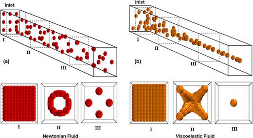 FIG. 5. Particle trajectories of Newtonian (a) and viscoelastic fluid (b) in various cross sections of the straight channel. The black dashed lines in Newtonian fluid are minimum lift force line and in viscoelastic fluid are the minimum shear line.