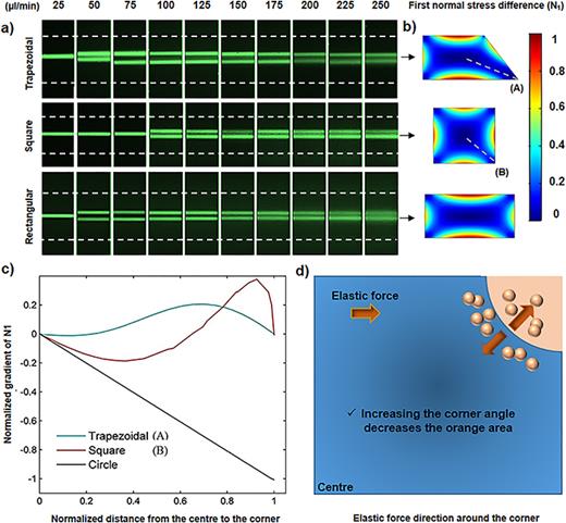 FIG. 7. (a) Top views of the particle trajectories in trapezoidal, square, and rectangular channels. The transition from one to two focusing bands occurs at higher flow rate in the square channel under the same conditions. (b) First normal stress difference contours in the corresponding channels. (c) Effects of corner angle on normalized gradient of N1 as an indicator of elastic force. Corners A and B have angles of 50° and 90°, respectively. A circular channel is assumed to have the corner angle of 180°. (d) Direction of elastic force in the first quarter of square cross section. The direction of elastic force in the blue region is always toward the center while in the orange region is in the opposite direction.