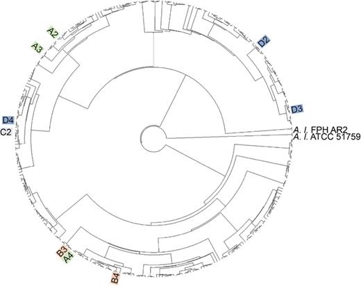 Maximum likelihood phylogenetic tree of 1721 single-copy orthogroups of the nine antagonistic library strains recovered in the MRA screen (tip label colors correspond to the well from which the strain was extracted from) from the 293-strain library input into MRA (unlabeled tips) using the JTT + F + Γ substitution model and 100 bootstrap replicates. A. larrymoorei strain FPH AR2 and strain ATCC 5159 were used as outgroup taxa.