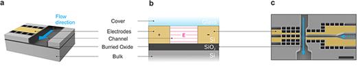 Schematic representation of the direct electrification of silicon microfluidics: (a) Oxidized perforation patterns enable sections of the silicon layer to become electrically insulated from the rest of the channel walls, including the bottom and top ones, resulting in an electrically addressable wall segment transversal to the flow direction (light blue arrow). (b) Cross-sectional view through one channel depicting the homogeneous electric fields with two opposite electrodes. (c) Scanning-electron microscopy image of a device with two electrode pairs. An additional channel protrudes from the right (dotted light blue arrow) as this specific device is used for pico-injection. Scale bar: 100   μ m. Adapted from Fig. 2 of Monserrat Lopez et al., Microsyst. Nanoeng. 9, 81 (2023); licensed under a Creative Commons Attribution (CC BY) license. Copyright 2023 Author(s), licensed under a Creative Commons Attribution (CC BY) License.