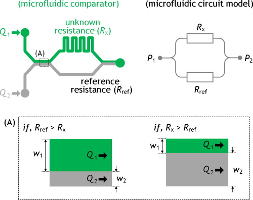 Microfluidic parallel circuit for measurement of hydraulic resistance ...