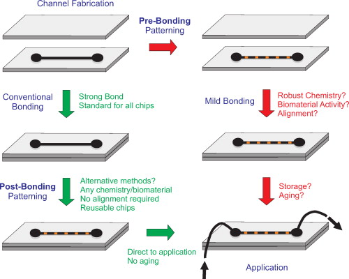 Surface patterning of bonded microfluidic channels | Biomicrofluidics ...