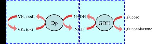 A glucose fuelled bioanode catalyzed by PLL-VK3/Dp/GDH. Reproduced with permission from Togo , Environ. Sci. Technol.ESTHAG0013-936X 52, 4669 (2007). Copyright © 2007 by Elsevier.