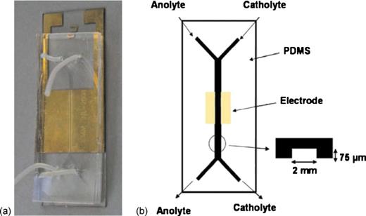 An enzymatic glucose/O2 microfluidic biofuel cell.Reproduced with permission from Zebda , Environ. Sci. Technol.ESTHAG0013-936X 11, 592 (2009). Copyright © 2009 by Elsevier.