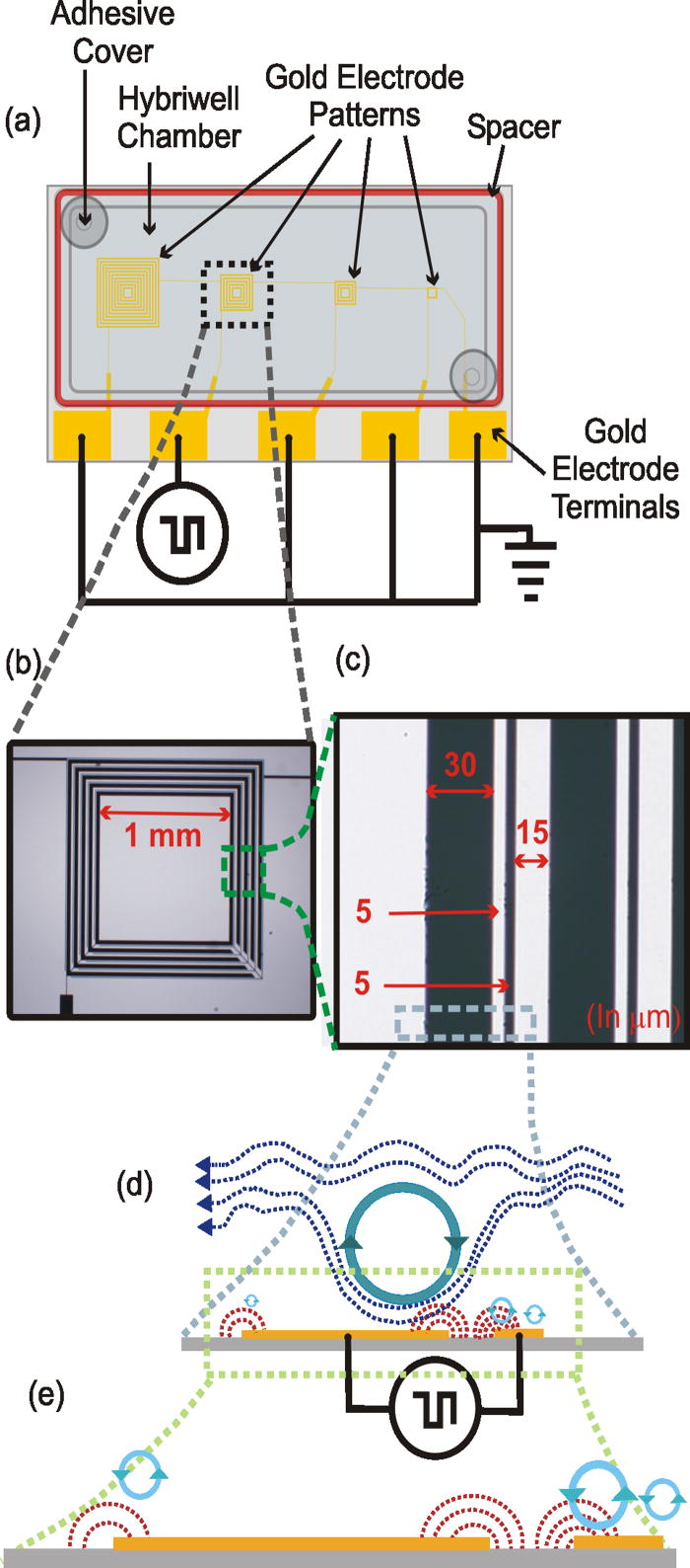 On-chip collection of particles and cells by AC electroosmotic pumping ...