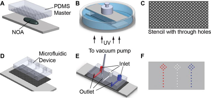 A combined microfluidic-microstencil method for patterning biomolecules ...