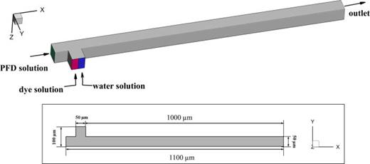 FIG. 1. The geometry and the dimensions of the microfluidic T-junction used by the numerical simulations. The width in z direction is 50 μm.