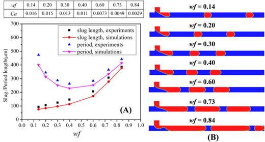 FIG. 3. (a) The slug lengths and periods as a function of various water fractions (wf) at Utotal = 50 mm/s. The experimental values are cited from Tice et al.12 (b) Contours of the slug formation at various wf values. The contact angle is set as 140° for wf = 0.14–0.73, while for wf = 0.84 is 150°.