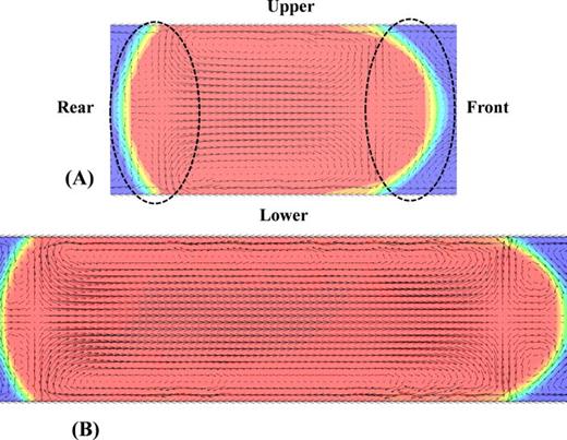 FIG. 5. Vector plots of the relative velocity field inside slugs on x-y plane. The slugs are generated at Utotal = 50 mm/s and (a) wf = 0.30; (b) wf = 0.60. The relative velocity field is obtained by subtracting the average velocity from the absolute velocity field.