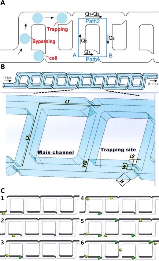 A microfluidic device enabling high-efficiency single cell trapping ...