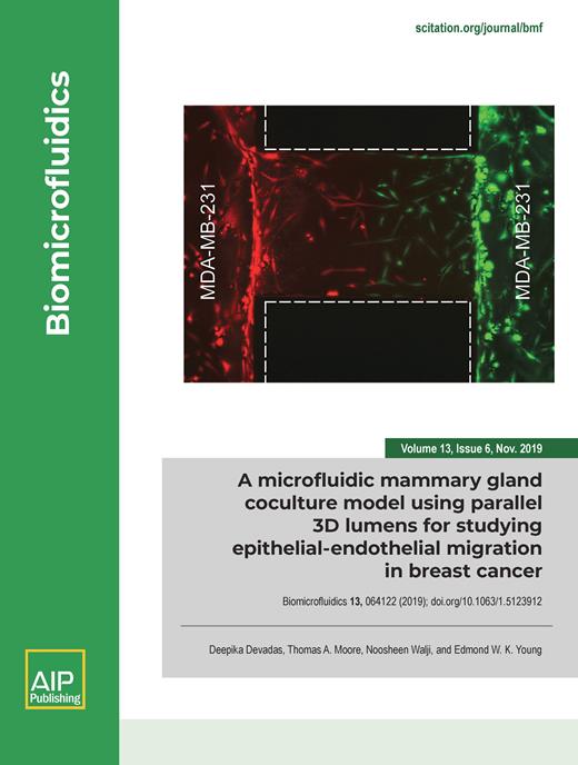 Biomicrofluidics Cover Image for Volume 13, Issue 6