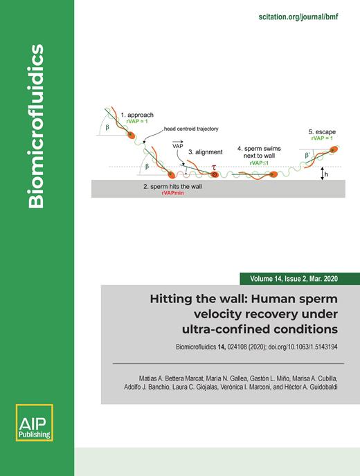 Biomicrofluidics Cover Image for Volume 14, Issue 2