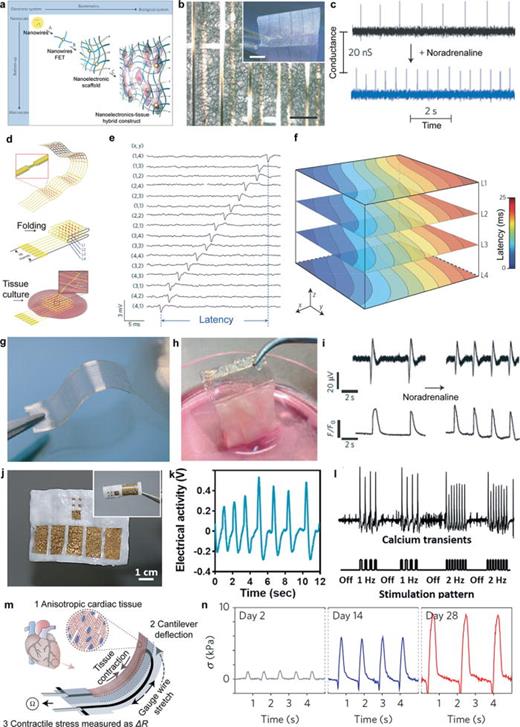 Soft bioelectronics for cardiac interfaces | Biophysics Reviews | AIP ...