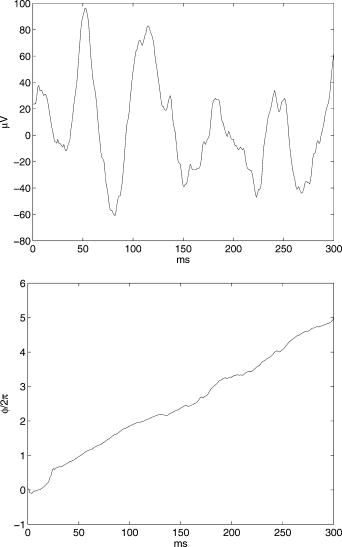 Synchronization in monkey visual cortex analyzed with an information ...