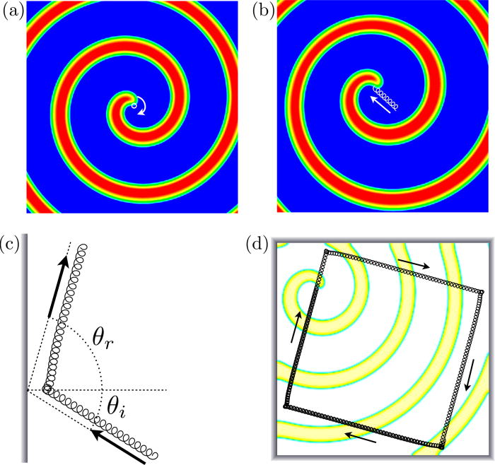 Nonspecular reflections in a macroscopic system with waveparticle duality Spiral waves in