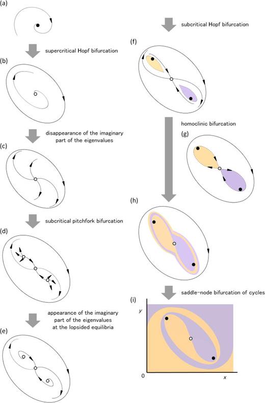 FIG. 4. Schematic illustration of cascades of bifurcations as we increase d with X = 0.6, Y = 0.4, and r = 3.