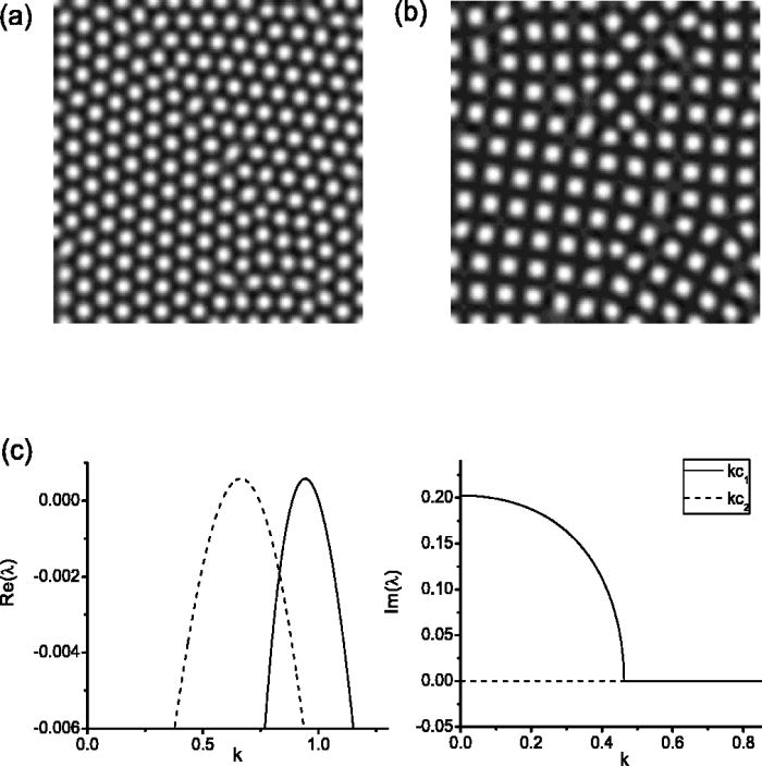 Square Turing patterns in reaction-diffusion systems with coupled ...