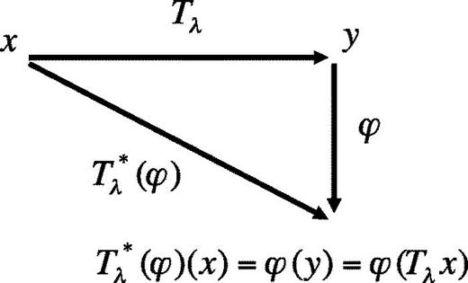 FIG. 3. Scheme of the “pullback” Tλ* that pulls back the field u from the coordinates y to x with the help of the (anisotropic) space contraction/dilation Tλ.
