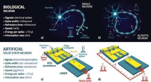 FIG. 1. (a) Artistic view of a biological neuron. (b) Representation of a neuron with a self-feedback connection with a time-delay τ due to the presence of an autapse. (c) The solid-state neuron microchip consisting of an RTD-photodetector connected in series with a semiconductor laser diode using a gold (Au) wire bond. Both electrical and optical high-speed excitable spike signals can be activated either electrically or optically. (d) Representation of the autaptic neuron microchip. In this configuration, the optical spiking output is re-injected into the RTD-photodetector input after a time-delay τ due to the propagation in an optical delay line (red trace). The typical performance of our artificial neuron and of a single biological neuron are both detailed in the bottom left and top left, respectively. The energy per spike was calculated using E=12CVpp2, assuming C = 245 pF and Vpp = 100 mV for the case of the biological neuron, while the electrical energy per spike of the artificial neuron assumed a typical device with C=4.5  pF and Vpp=3  V. The energy per spike of the artificial neuron can be substantially reduced (≪1  pJ) by scaling down the size of the microchip components.