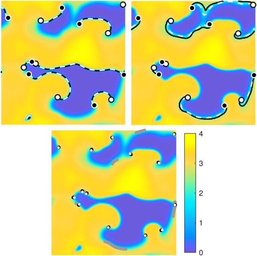 FIG. 2. Comparison of the definitions of the wavefronts (a) and wavebacks (b) for a complicated multi-spiral state u1(t,x) based on (7) and (8) (solid black lines) and (12) (dashed white lines). White/black circles correspond to the phase singularities with positive/negative chirality. (c) Comparison between spiral wave tips and phase singularities computed using definitions (13), (14), and (16) shown as gray, black, and white points, respectively.