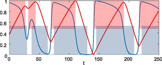 FIG. 3. Time trace of variables u1 (blue curve) and u2 (red curve) at a fixed spatial location in a two-dimensional domain near which a conduction block occurs at t≈33. Both u1 and u2 were rescaled so that their range corresponds to [0,1]. Excited intervals are shaded red and refractory intervals are shaded blue. The first refractory interval ends at t≈26.5, just before the next excited interval begins at t≈29.5, leading to a short, small-amplitude action potential.