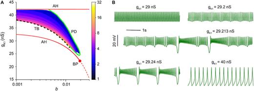 Bottom-up approach to torus bifurcation in neuron models | Chaos: An ...