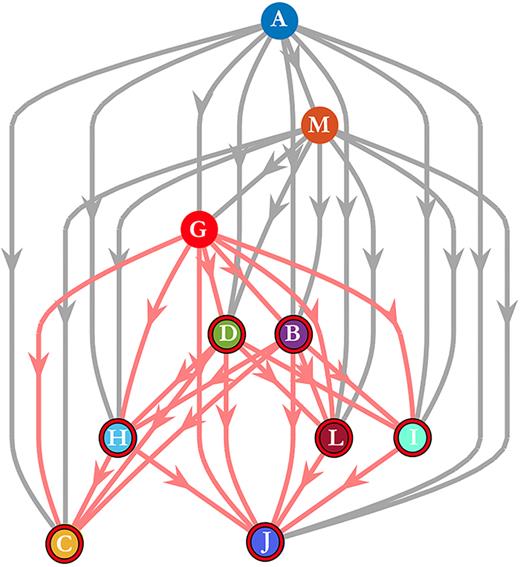 FIG. 2. Reach of agent G. Each node with a red circle is within the reachability set and thus the reach of agent G.