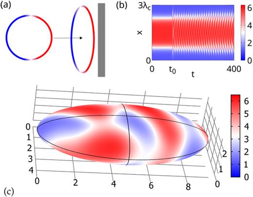 (a) Schematic representation of a collision, emphasizing the possible widening of the mesa state or serving as another large perturbation. (b) Direct numerical integration of (1) with periodic boundary conditions on a domain length   L = 3  λ c at   s = 0.525, showing the evolution of a mesa state into oscillations upon a perturbation applied at    t 0 = 100. (c) Numerical integration as in (b) but on an ellipsoid surface geometry (using COMSOL Multiphysics®) with principle diameters    d x = 3  λ c ≈ 9.28,    d y = 3  λ c / 2 ≈ 4.64,    d z = 3  λ c / 4 ≈ 2.32, and random initial conditions. Here, we show a snapshot at   t = 100. Other parameters as in Fig. 1. Multimedia available online.