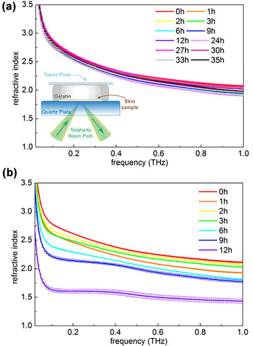 FIG. 16. The changes in the refractive index with increasing time of (a) the gelatin preserved sample and (b) the control sample. Inset of (a) shows the diagram of the skin sample embedded in gelatin during the measurement. Reproduced with permission from Fan et al., Phys. Med. Biol. 60, 2703 (2015).281 Copyright 2015 Institute of Physics and Engineering in Medicine.